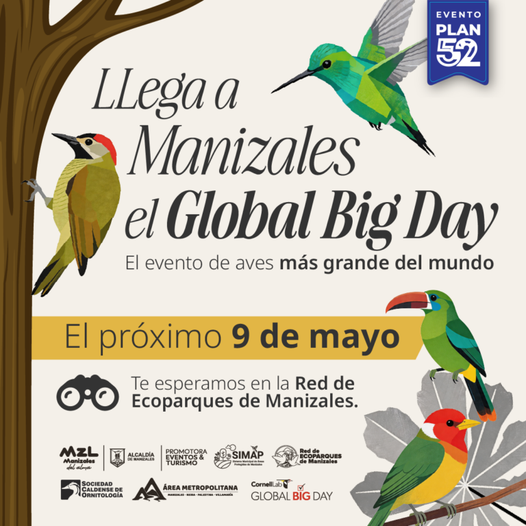 Global Big Day Manizales 2026