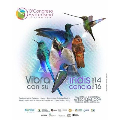 Aviturismo